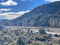 Afloramiento de Piritoedros. Pina de Montalgrao, Castellón   