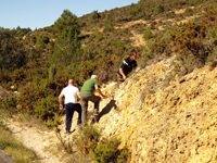Afloramiento de Piritoedros. Pina de Montalgrao, Castellón   