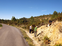 Afloramiento de Piritoedros. Pina de Montalgrao, Castellón   