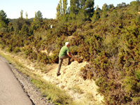 Afloramiento de Piritoedros. Pina de Montalgrao, Castellón   