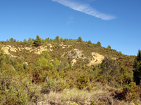 Afloramiento de Piritoedros. Pina de Montalgrao, Castellón   