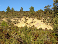 Afloramiento de Piritoedros. Pina de Montalgrao, Castellón   