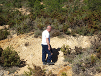Afloramiento de Piritoedros. Pina de Montalgrao, Castellón   