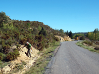 Afloramiento de Piritoedros. Pina de Montalgrao, Castellón  