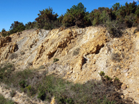 Afloramiento de Piritoedros. Pina de Montalgrao, Castellón         