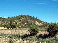 Afloramiento de Piritoedros. Pina de Montalgrao, Castellón  