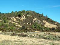 Afloramiento de Piritoedros. Pina de Montalgrao, Castellón  