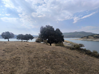 Embalse de Valdecañas. Belvis de Monroy. Cáceres