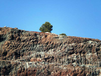 Cantera el Chicano. Macisvenda. Murcia