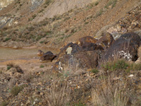 Corta San José, Sierra Minera de Cartagena-La Unión, Portmán, La Unión, Murcia