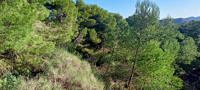 Mina San Dionisio. Peña del Águila. SIerra minera de Cartagena la Unión