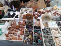 EXPOMINALES 2017