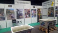 EXPOMINALES 2017