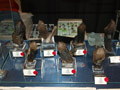 XXI Feria de Minerales de la Unión. Stand de Miguel David Martínez Pérez