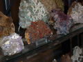 VII Feria de Minerales de Oliva. Stand de Fósiles del Atlas