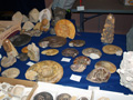 VII Feria de Minerales de Oliva. Stand de Fropaeum Fossils