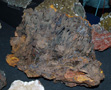 VII Feria de Minerales de Oliva. Stand de Juan Antonio Robles