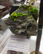 Grupo Mineralógico de Alicante. Colección de Antonio Bueno  