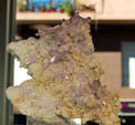 Grupo Mineralógico de Alicatnte. II Feria de Minerales de Elche. Stand de The Mineral Shop