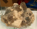 Grupo Mineralógico de Alicatnte. II Feria de Minerales de Elche. Stand de Rosell Minerals