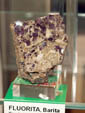 Grupo Mineralógico de Alicatnte. II Feria de Minerales de Elche. Stand de Rosell Minerals