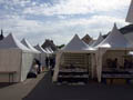 GMA. Feria de Minerales de Santa María en Francia