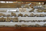 GMA. Museo di Mineralogia Luigi Bombicci  en Bolonia