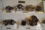 GMA. Museo di Mineralogia Luigi Bombicci  en Bolonia