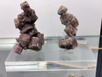 Grupo Mineralógico de Alicante. Museo de Ciencias Naturales de Álava 