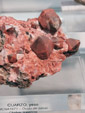 Grupo Mineralógico de Alicante. Museo de Ciencias Naturales de Álava 