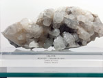 Grupo Mineralógico de Alicante. Museo de Ciencias Naturales de Álava