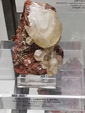 Grupo Mineralógico de Alicante. Museo de Ciencias Naturales de Álava 