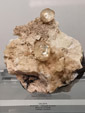 Grupo Mineralógico de Alicante. Museo de Ciencias Naturales de Álava 