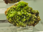 Grupo Mineralógico de Alicante. Museo de Ciencias Naturales de Álava 