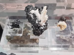 Grupo Mineralógico de Alicante. Museo de Ciencias Naturales de Álava 