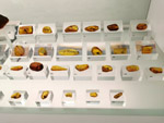 Grupo Mineralógico de Alicante. Museo de Ciencias Naturales de Álava 