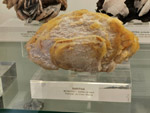 Grupo Mineralógico de Alicante. Museo de Ciencias Naturales de Álava 