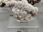 Grupo Mineralógico de Alicante.  Museo de Ciencias Naturales de Álava