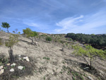 Cerro ALmodovar. Madrid.