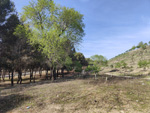 Cerro ALmodovar. Madrid.