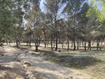 Cerro ALmodovar. Madrid.