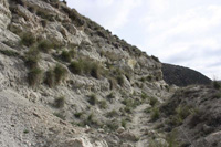 Cerro San Roque, Villalbilla, Comarca Cuenca del Henares, Madrid