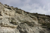 Cerro San Roque, Villalbilla, Comarca Cuenca del Henares, Madrid