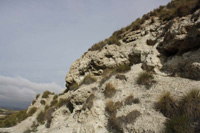 Cerro San Roque, Villalbilla, Comarca Cuenca del Henares, Madrid