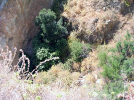 Explotación de Yeso La Pinilla. Fuente Alamo. Murcia